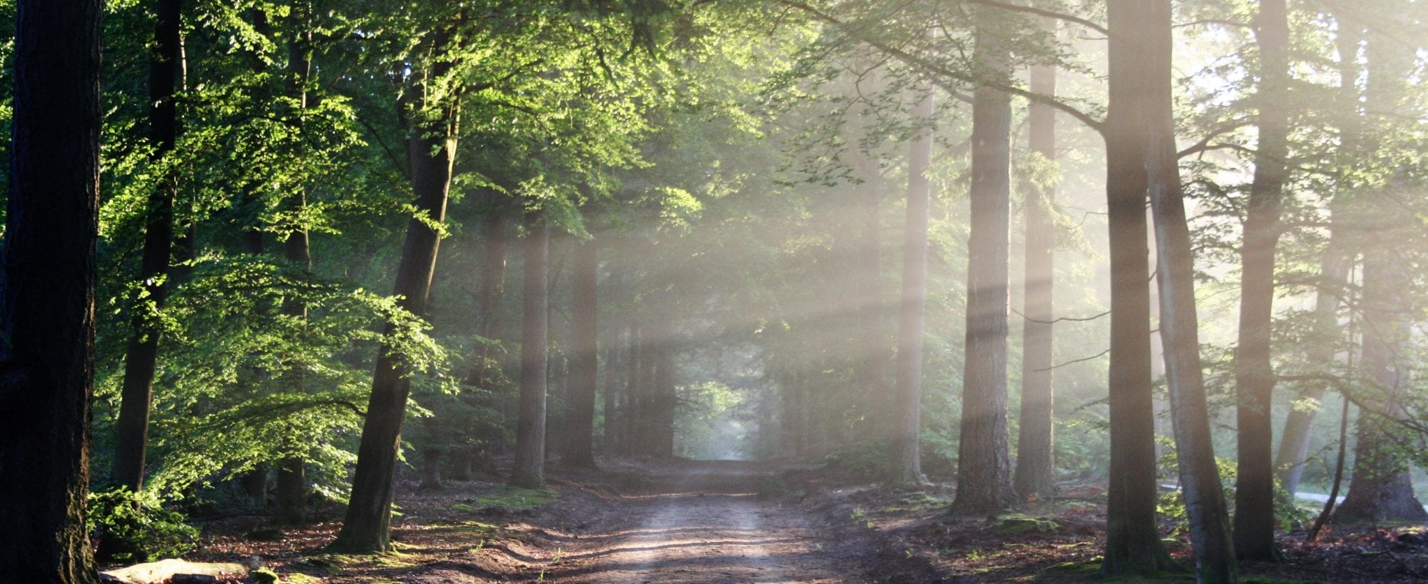 Every journey begins with a single step…